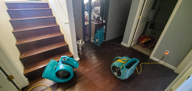 Best Carpet water damage restoration  in West Sand Lake, NY