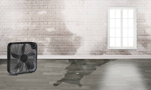 Best Water damage contractors near me  in West Sand Lake, NY