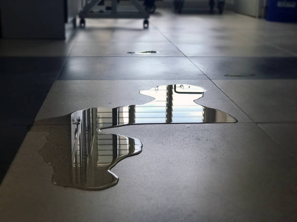 Best Professional water damage repair  in West Sand Lake, NY