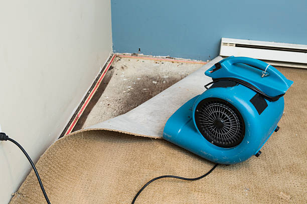 Best Flooded house restoration  in West Sand Lake, NY